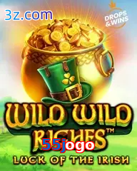 55jogo slot wild wild riches